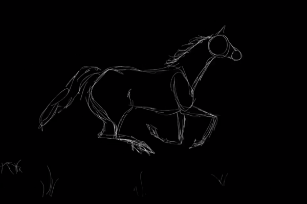 Horse Galloping Cycle Animation