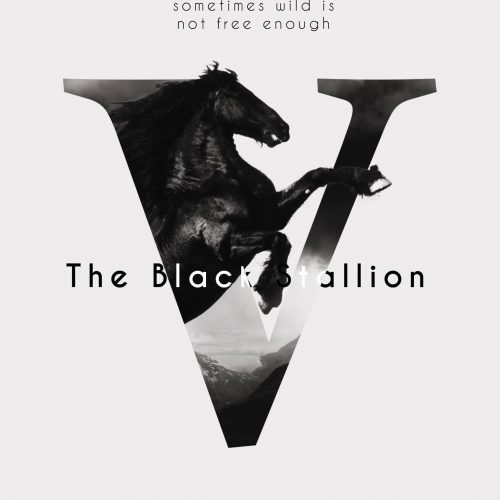 Black Stallion Fan Vintage Poster
