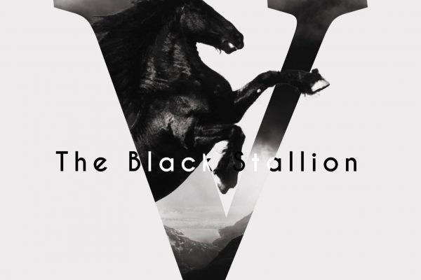 Black Stallion Fan Vintage Poster